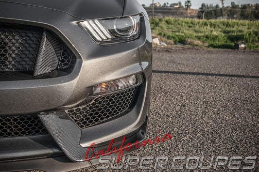 GT350 Front bumper panels Carbon Fiber Ford Mustang 2015-2018