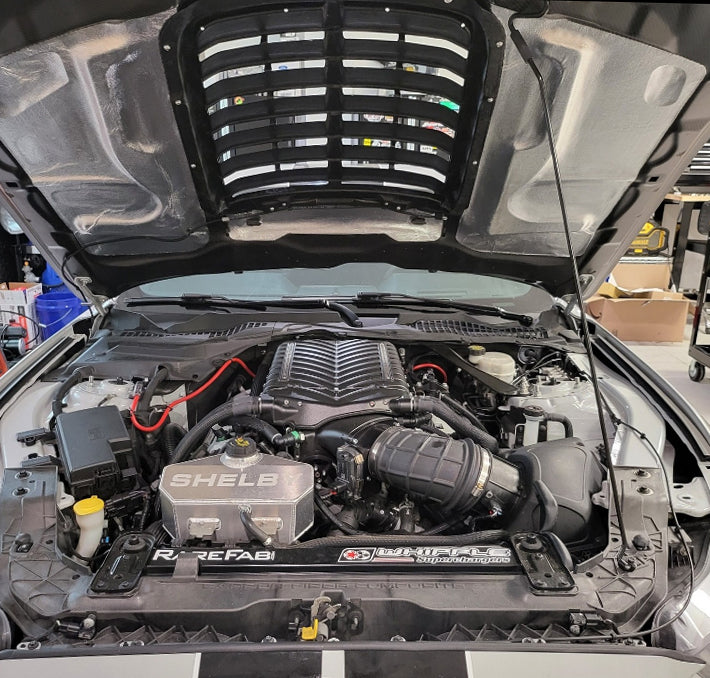 2015 - 2020 MUSTANG SHELBY GT350 TYPE-GT5 DOUBLE-SIDED CARBON FIBER HOOD