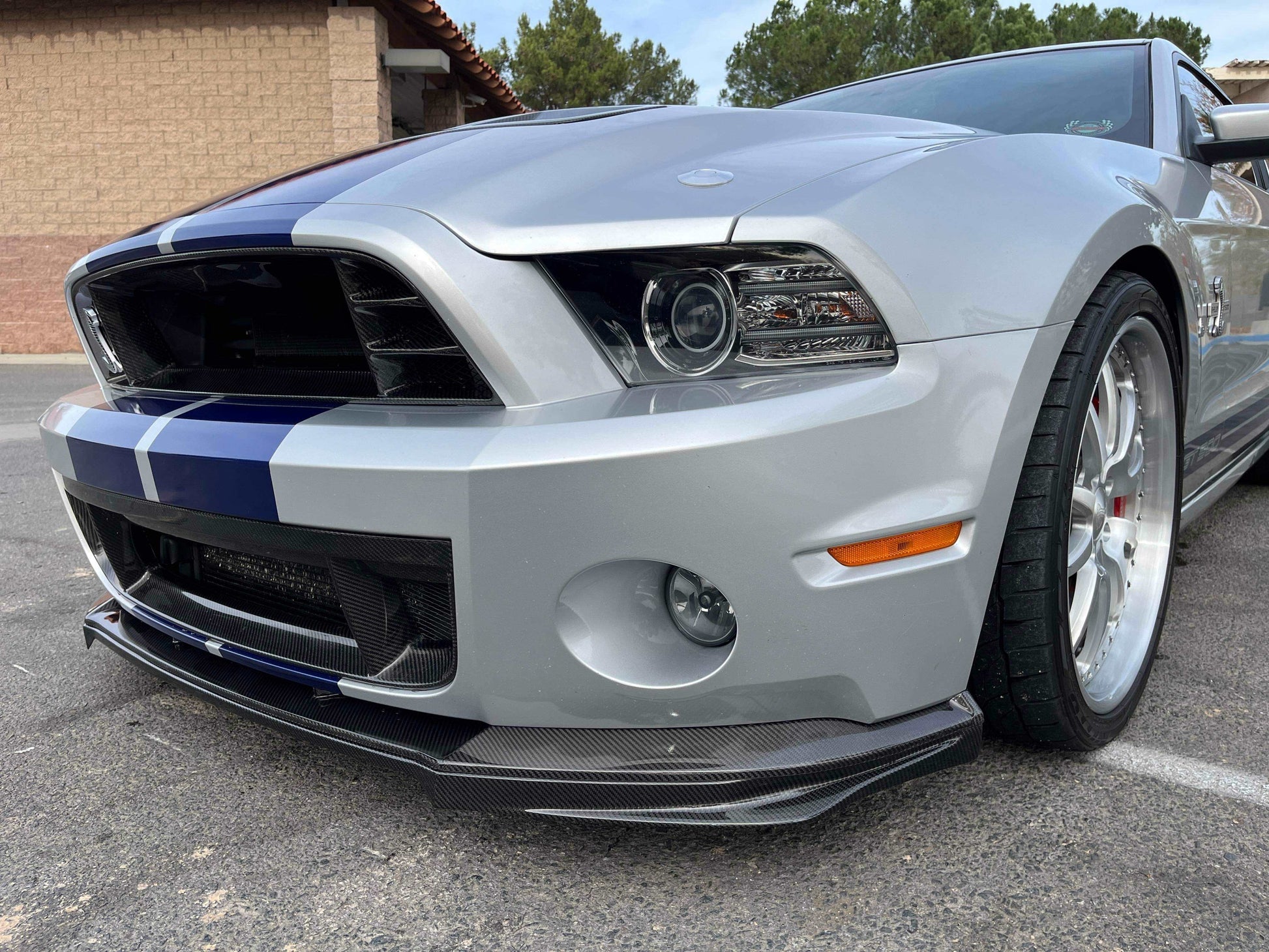 2013 - 2014 Shelby GT500 Carbon Fiber Front Lower Grille