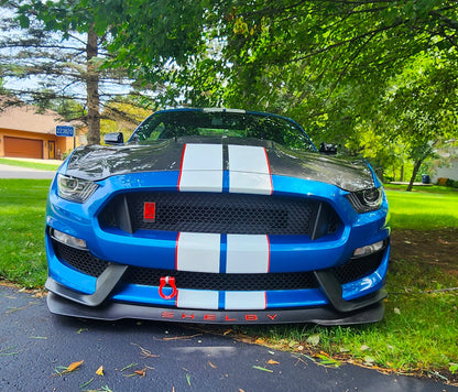 2020 - 2023 Mustang Shelby GT500 Double Sided Carbon Fiber Hood