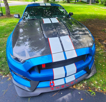 2020 - 2023 Mustang Shelby GT500 Double Sided Carbon Fiber Hood