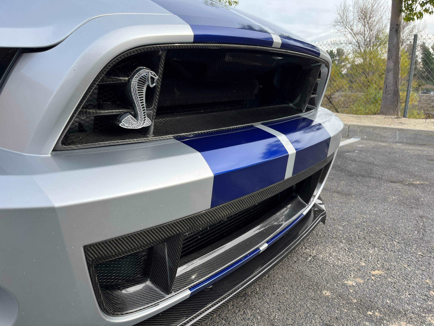 2013 - 2014 Shelby GT500 Carbon Fiber Front Grille