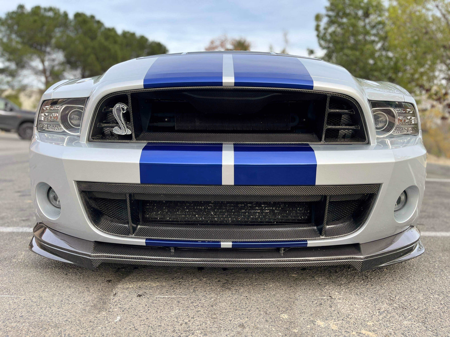 2013 - 2014 Shelby GT500 Carbon Fiber Front Grille