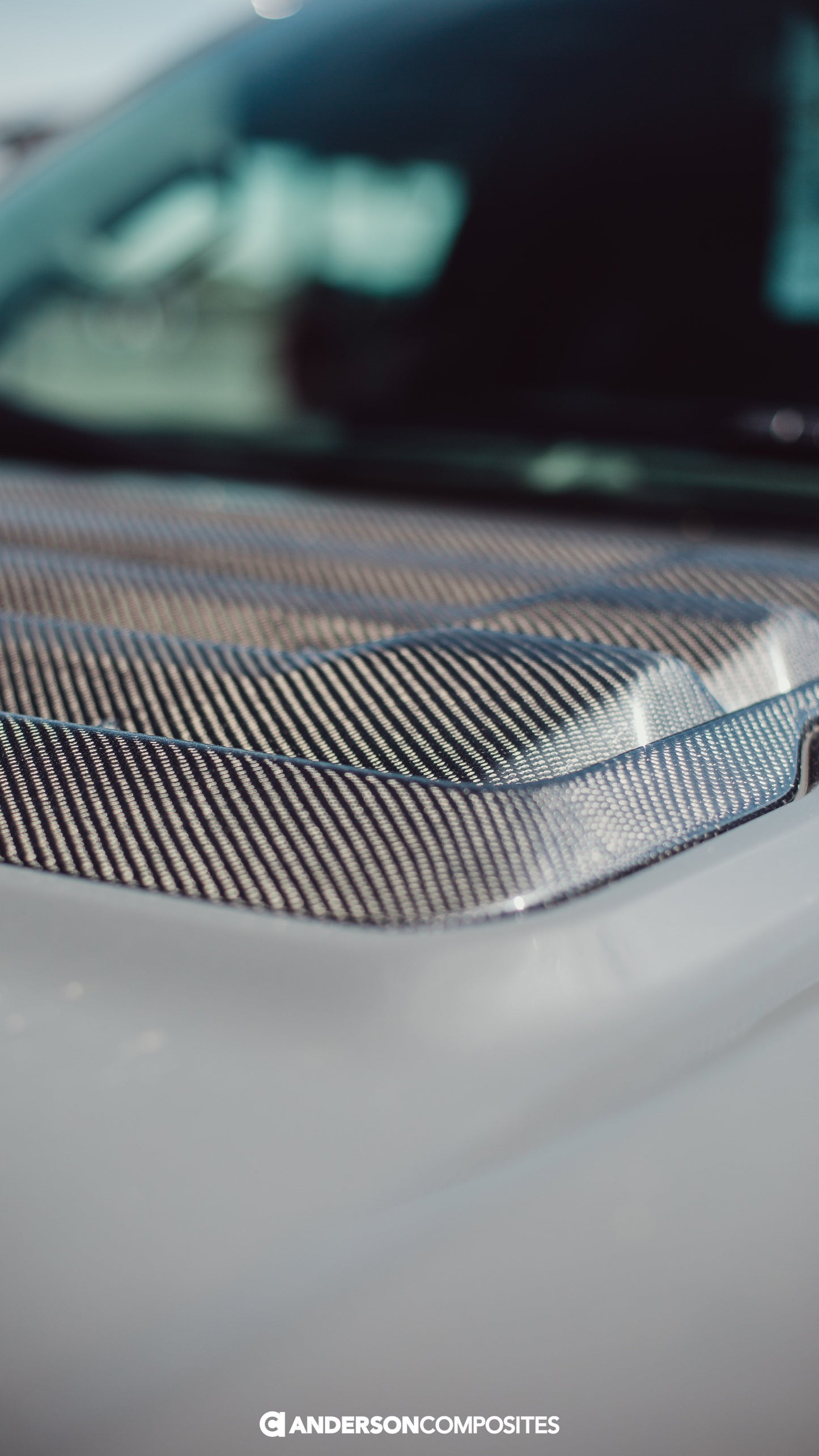 2017-2020 FORD RAPTOR TYPE-OE CARBON FIBER HOOD VENT (Louver)