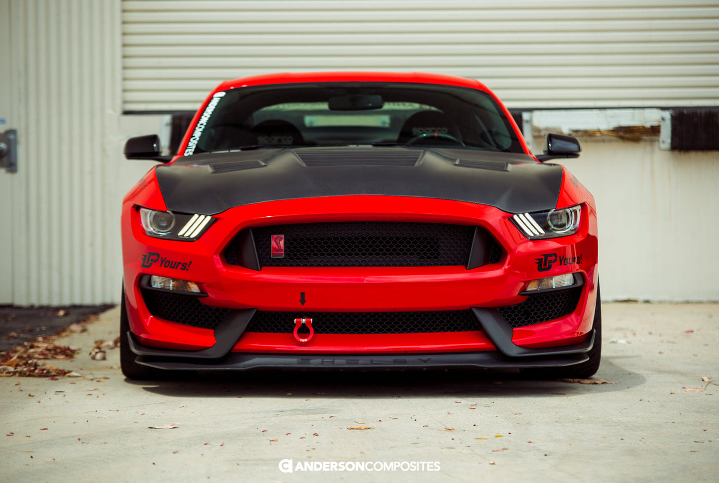 2015 - 2020 Shelby GT350 Dry Carbon Fiber Hood