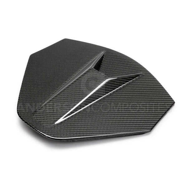 2020 - 2024 CORVETTE C8 CARBON FIBER REAR CAMERA DECKLID HOUSING PANEL