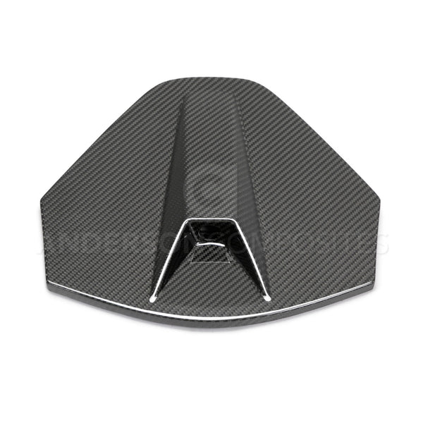2020 - 2024 CORVETTE C8 CARBON FIBER REAR CAMERA DECKLID HOUSING PANEL
