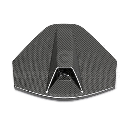2020 - 2024 CORVETTE C8 CARBON FIBER REAR CAMERA DECKLID HOUSING PANEL
