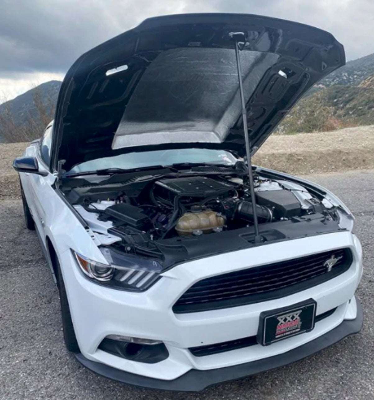 2015 - 2017 Mustang Double-Sided Carbon Fiber Cowl Hood