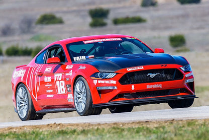 2018 - 2023 Ford Mustang Double-Sided Type-GT5  Carbon Fiber Hood