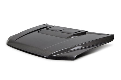 2021 - 2023 FORD F-150 RAPTOR TYPE-OE CARBON FIBER HOOD