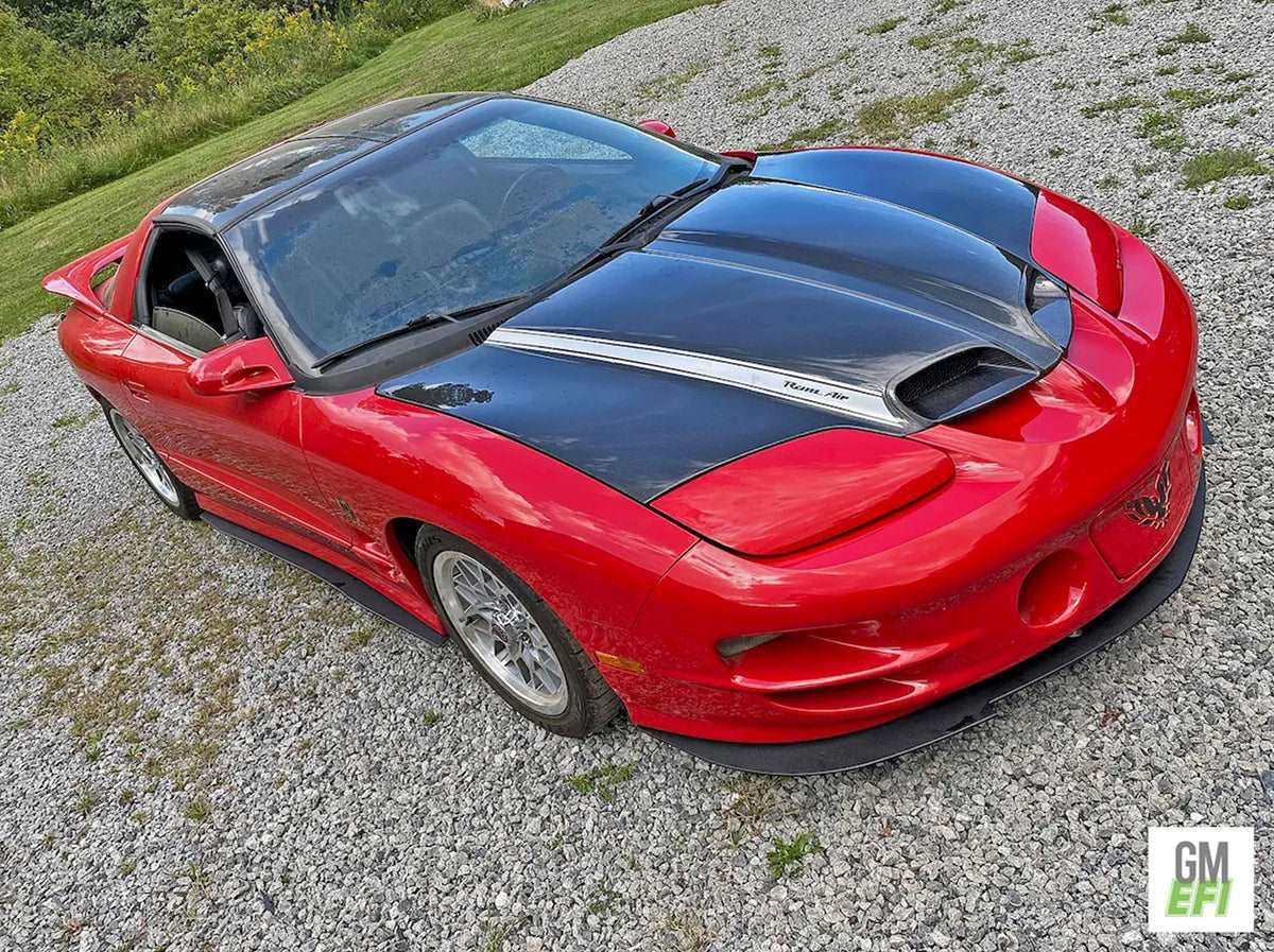 1998 - 2002 Pontiac Trans Am Carbon Fiber Type-OE Hood