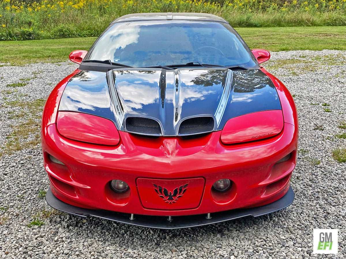 1998 - 2002 Pontiac Trans Am Carbon Fiber Type-OE Hood