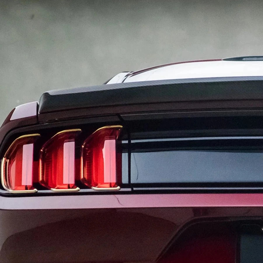 Carbon Fiber GT Ducktail Low Profile Ford Mustang 2015-2017