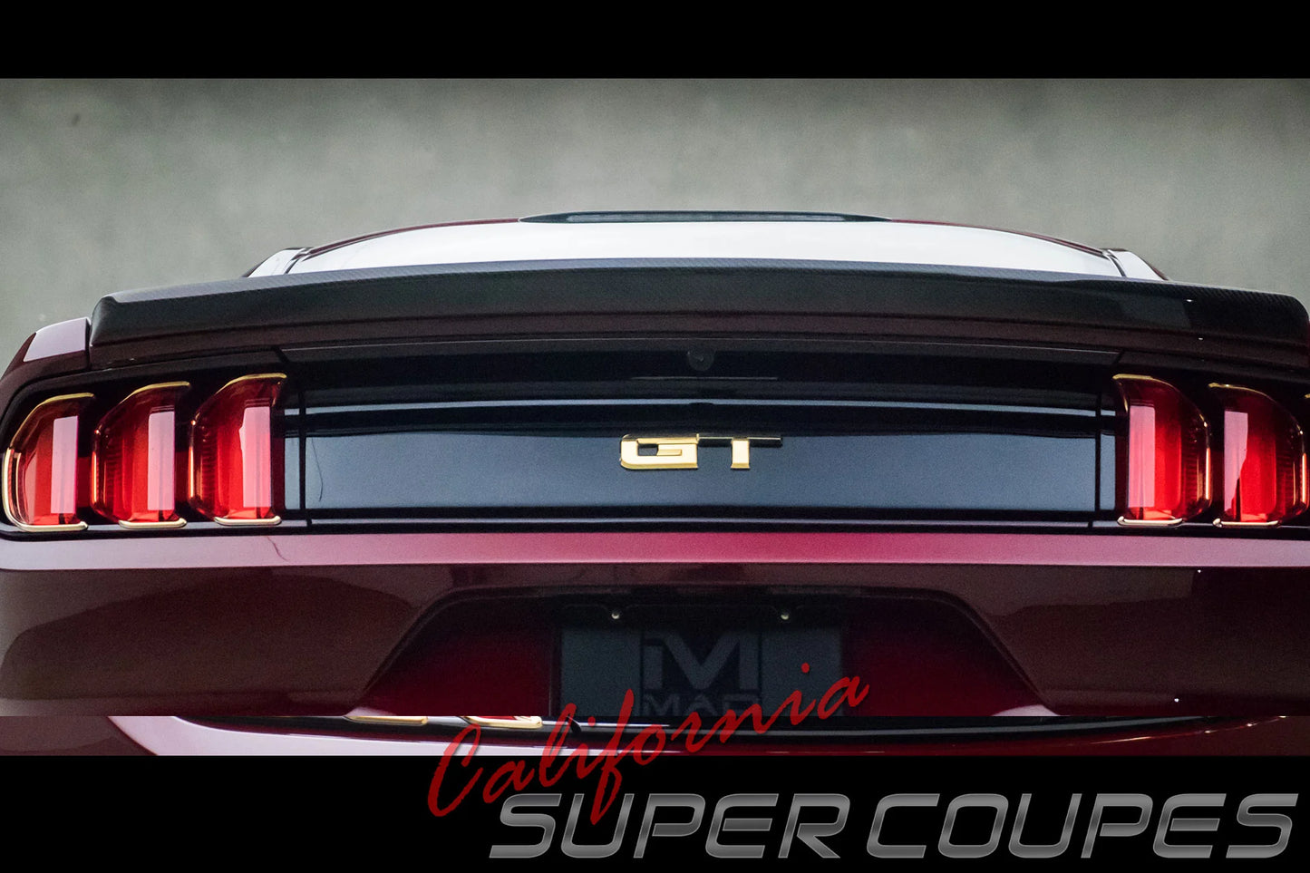 Carbon Fiber GT Ducktail Low Profile Ford Mustang 2015-2017