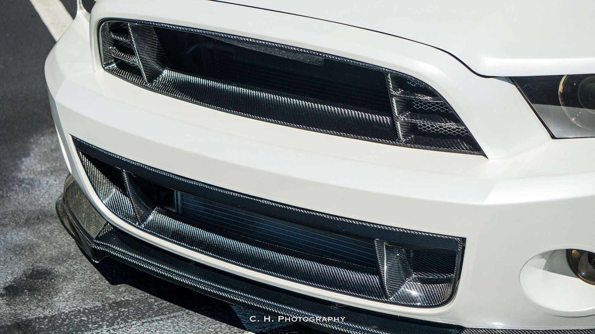 2013 - 2014 Shelby GT500 Carbon Fiber Front Grille