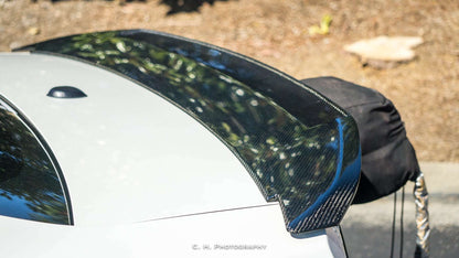 2010 - 2014 Mustang Shelby GT500 Carbon Fiber Rear Spoiler