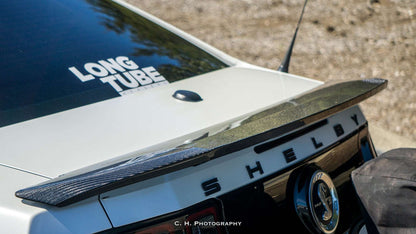 2010 - 2014 Mustang Shelby GT500 Carbon Fiber Rear Spoiler