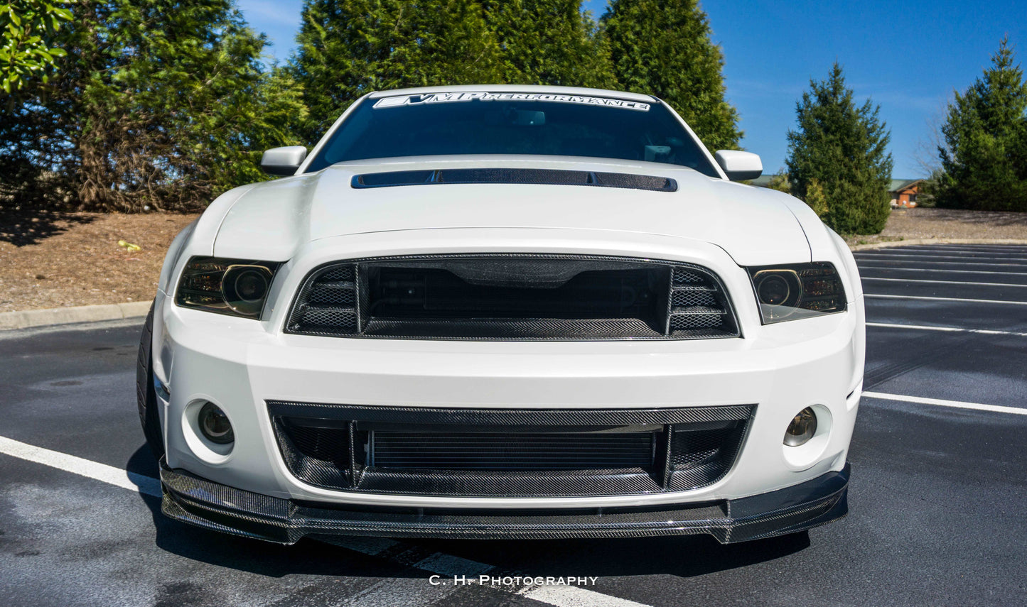 2010 - 2014 Mustang Shelby GT500 Type-OE Carbon Fiber Front Lip