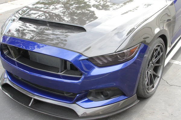 2015 - 2017 MUSTANG DOUBLE-SIDED CARBON FIBER "SUPER SNAKE" STYLE HOOD