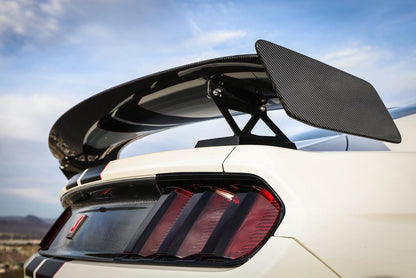 2020 - 2023 Shelby GT500 Type-TPW Carbon Fiber Rear Wing