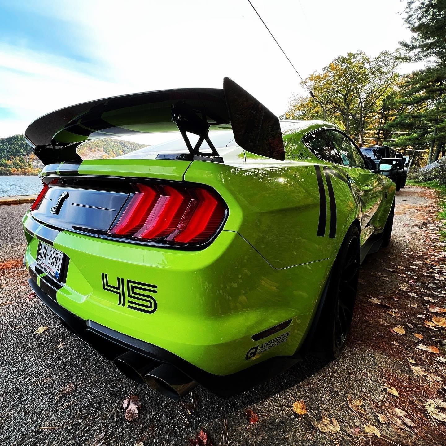 2020 - 2023 Shelby GT500 Type-TPW Carbon Fiber Rear Wing