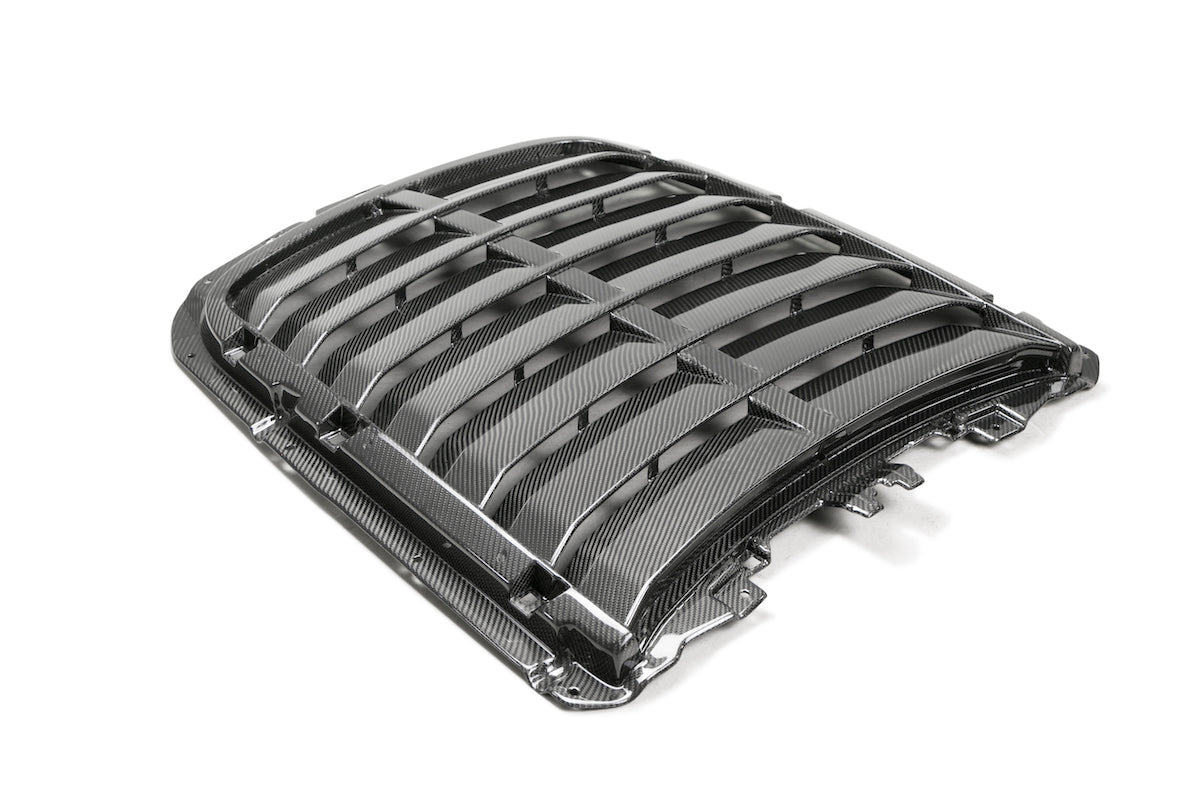 2020 - 2023 GT500 CARBON FIBER HOOD VENT KIT - FORD PERFORMANCE