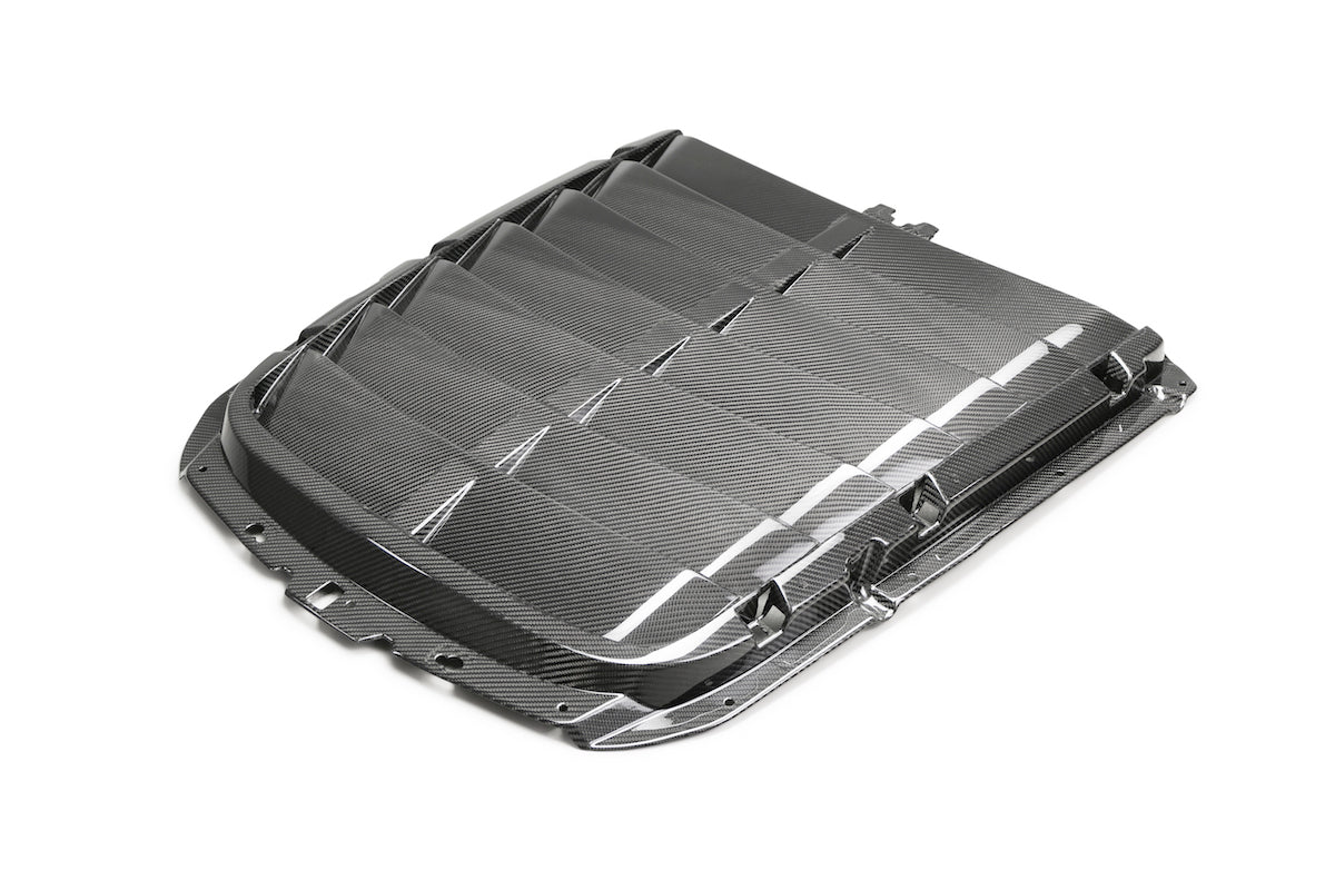 2020 - 2023 GT500 CARBON FIBER HOOD VENT KIT - FORD PERFORMANCE