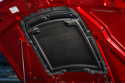 2020 - 2023 GT500 CARBON FIBER HOOD VENT KIT - FORD PERFORMANCE