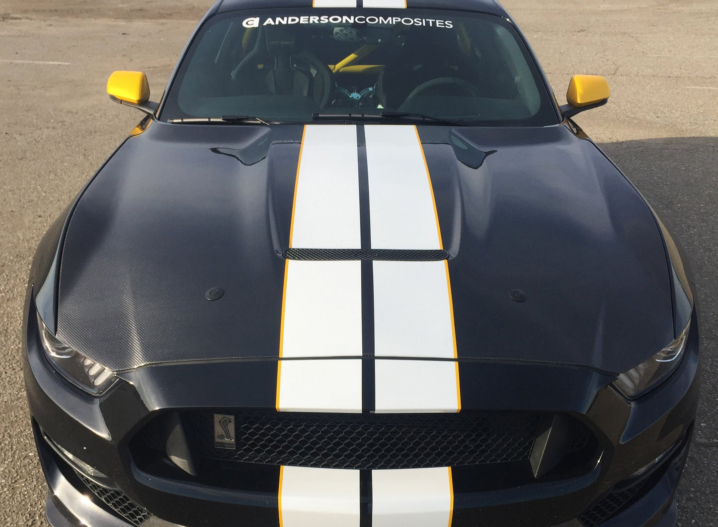 2015 - 2020 Mustang Shelby GT350 Double-Sided Carbon Fiber Hood