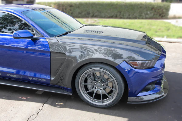 2015 - 2017 MUSTANG DOUBLE-SIDED CARBON FIBER "SUPER SNAKE" STYLE HOOD