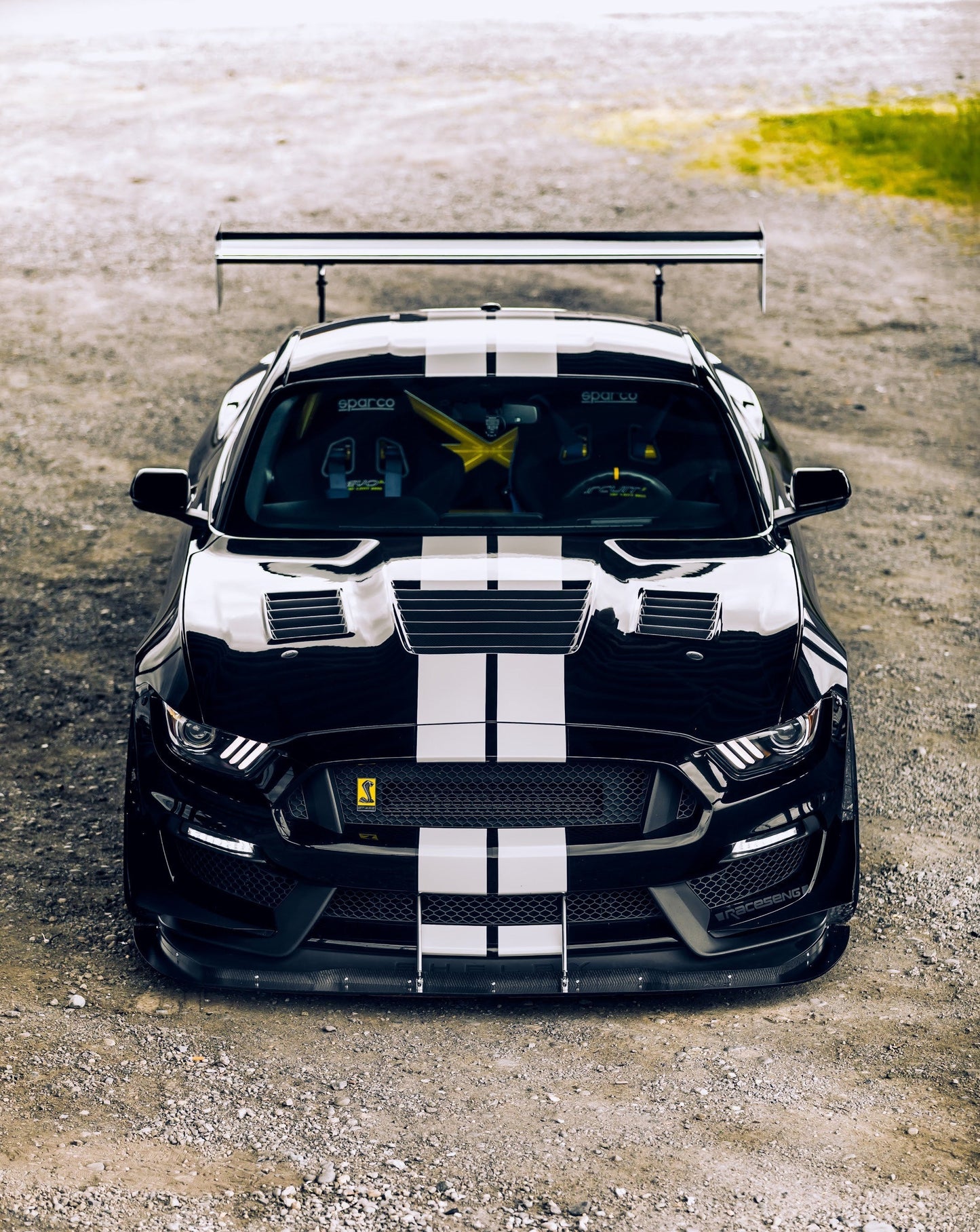 2015 - 2020 Shelby GT350 Dry Carbon Fiber Hood