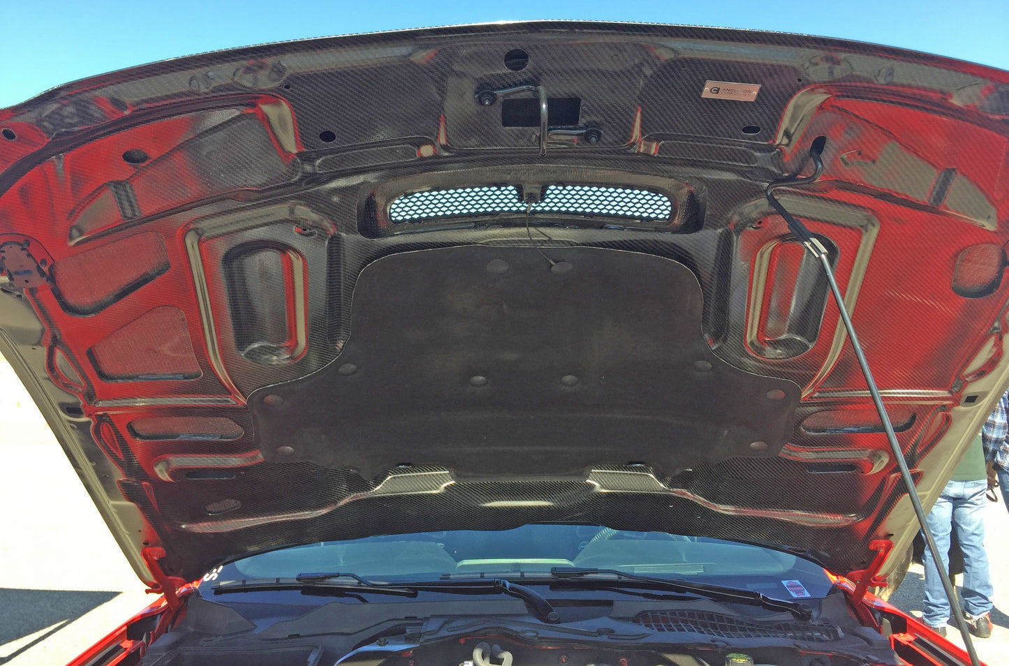 2015 - 2020 Mustang Shelby GT350 Double-Sided Carbon Fiber Hood