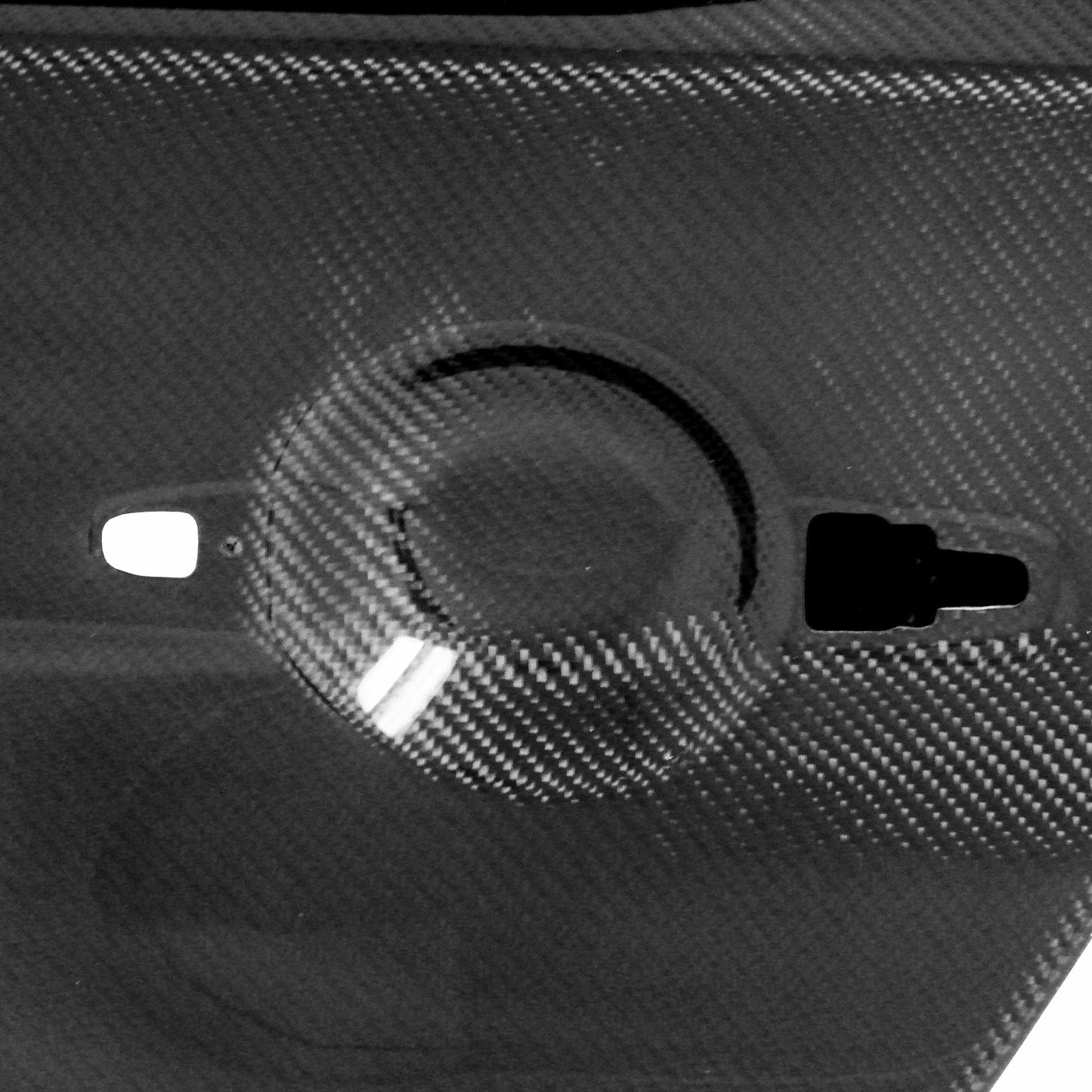 Carbon Fiber Doors For 2008-2015 Mitsubishi Lancer EVO X (REAR)